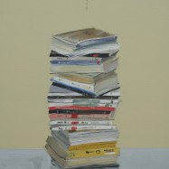 WORKS 2013